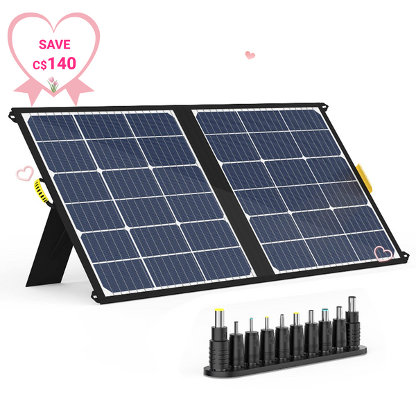 Panneau solaire pliable VTOMAN 100W