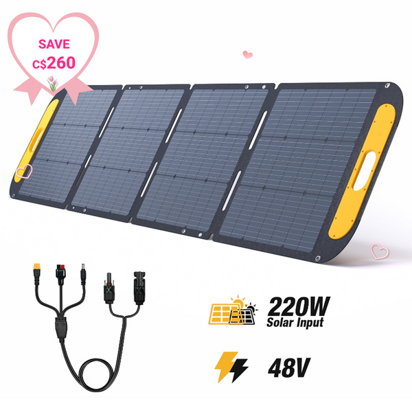 Panneau solaire portable VTOMAN VS220 Pro 220W
