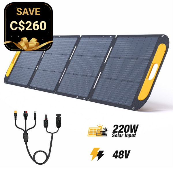 Panneau solaire portable VTOMAN VS220 Pro 220W