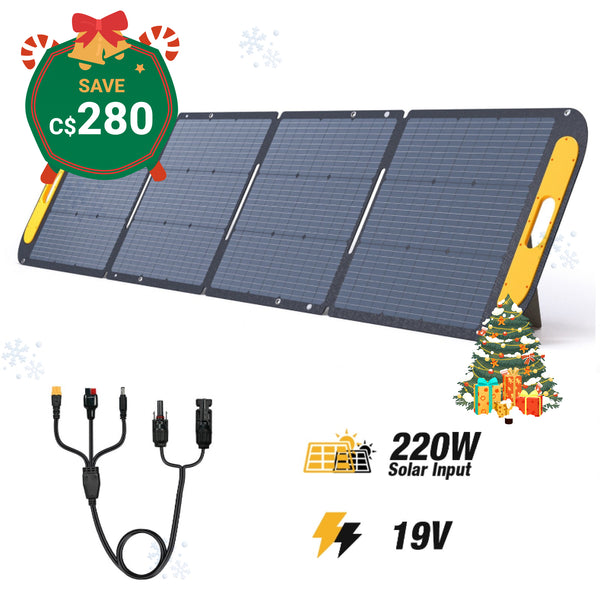 Panneau solaire portable VTOMAN 220W