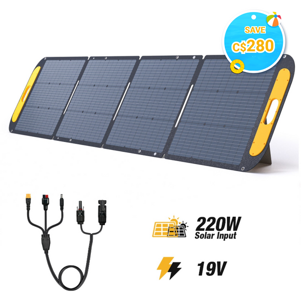 Panneau solaire portable VTOMAN 220W