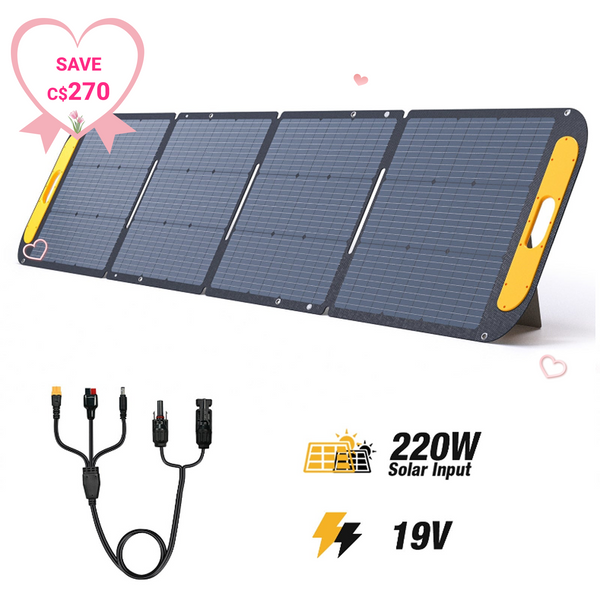Panneau solaire portable VTOMAN 220W