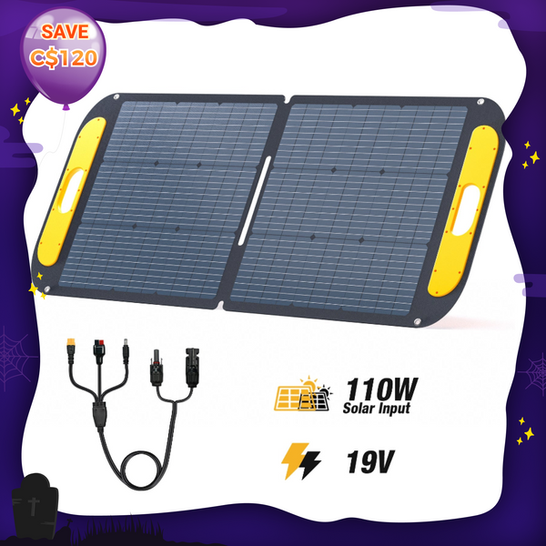 Panneaux solaires portables pliables VTOMAN 110W